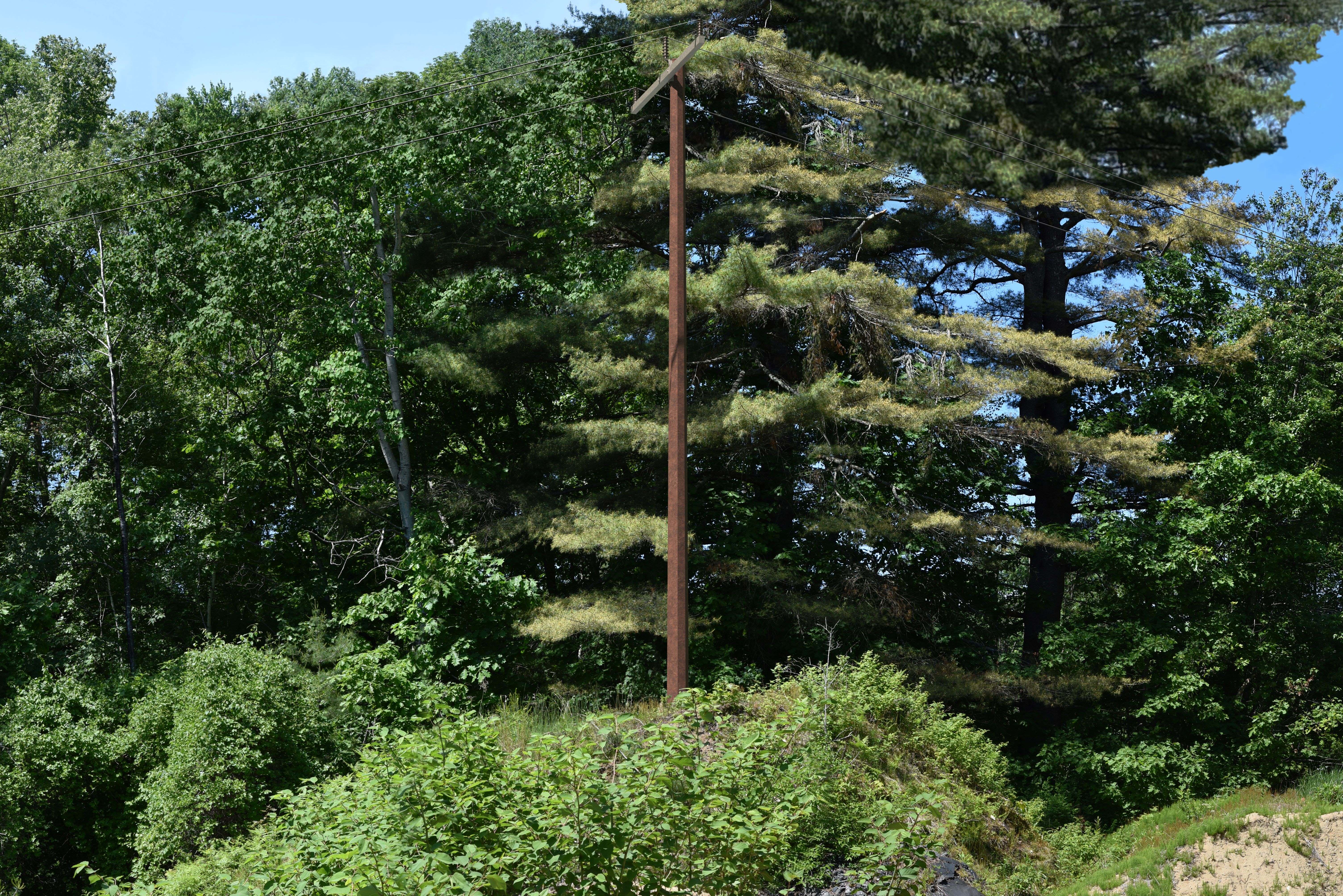 A visual rendering of new steel pole structure